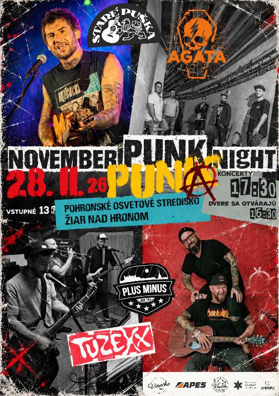 NOVEMBER PUNK NIGHT 2026