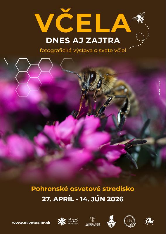 Včela dnes aj zajtra