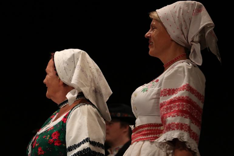 Dožinky