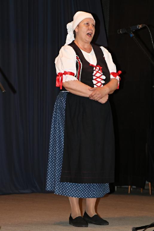 Vidiečanova Habovka 2025