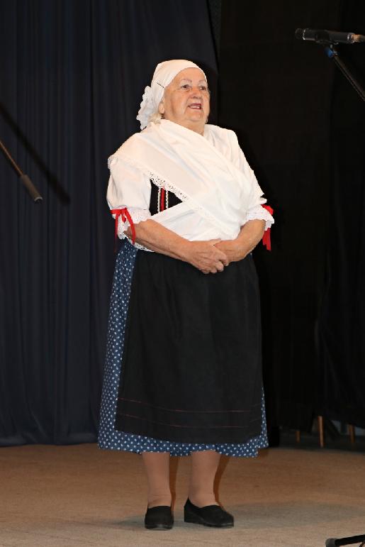 Vidiečanova Habovka 2025