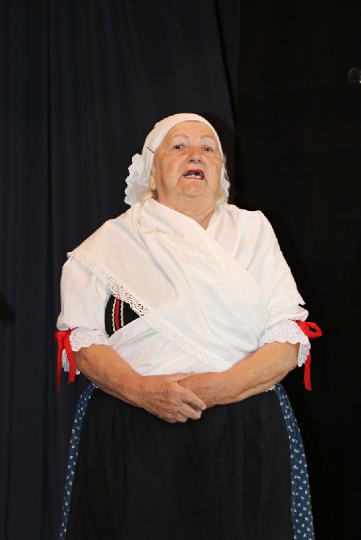 Vidiečanova Habovka 2025