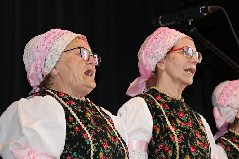 Vidiečanova Habovka 2025