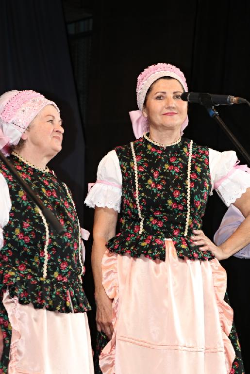 Vidiečanova Habovka 2025