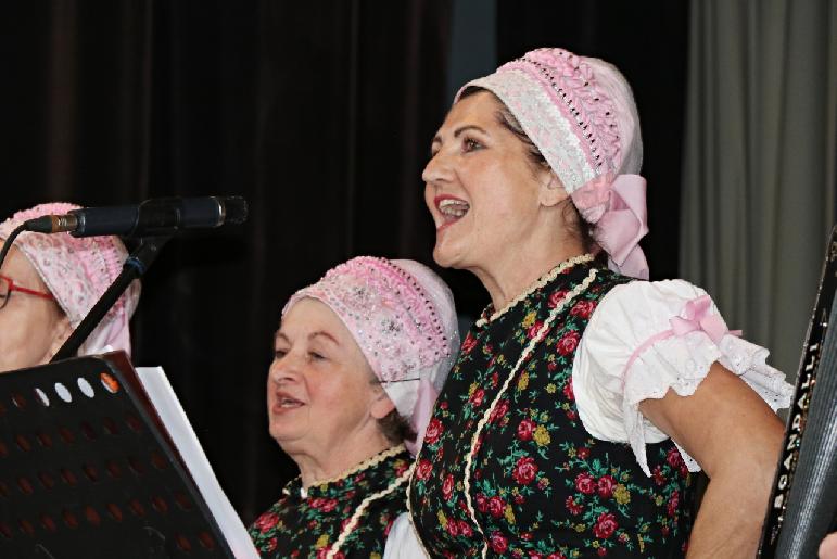 Vidiečanova Habovka 2025