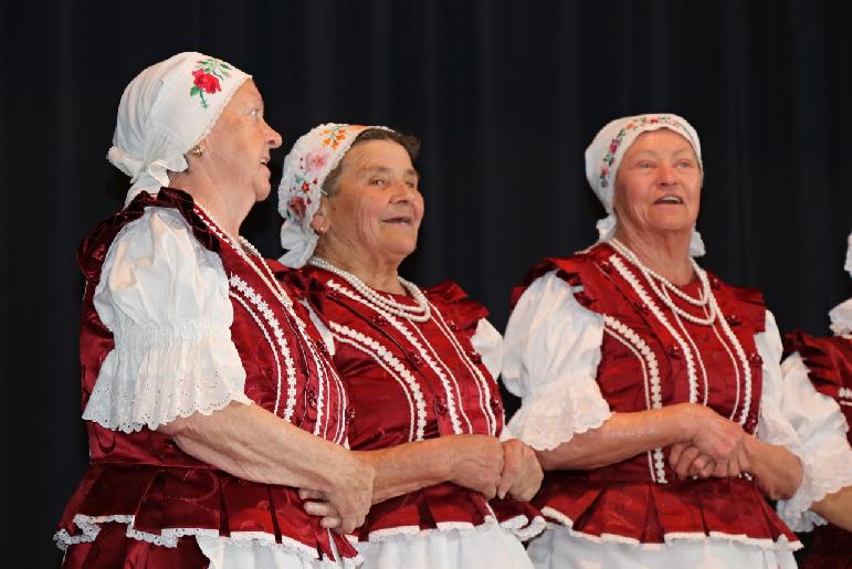 Vidiečanova Habovka 2025