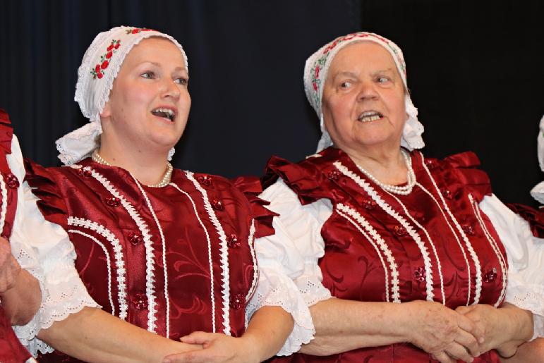 Vidiečanova Habovka 2025