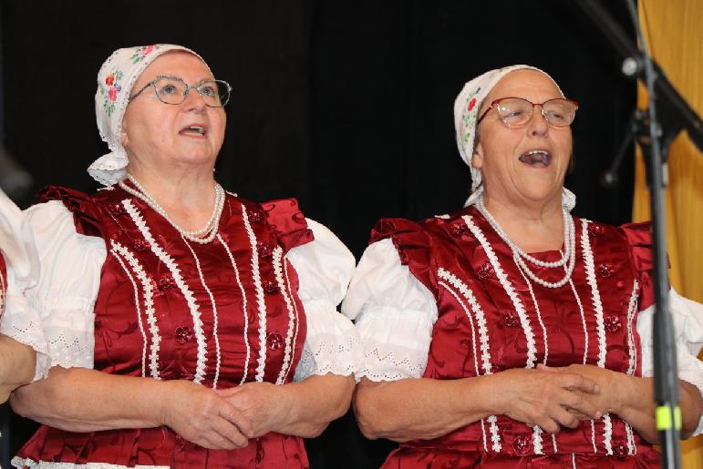 Vidiečanova Habovka 2025