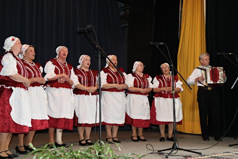 Vidiečanova Habovka 2025