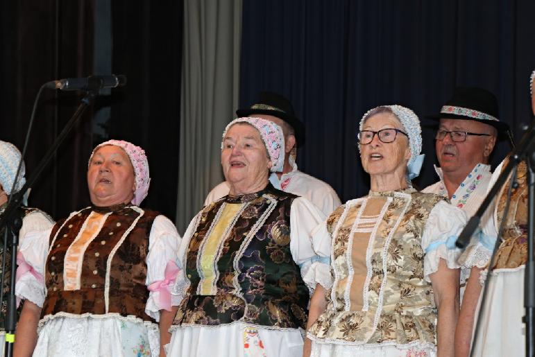 Vidiečanova Habovka 2025