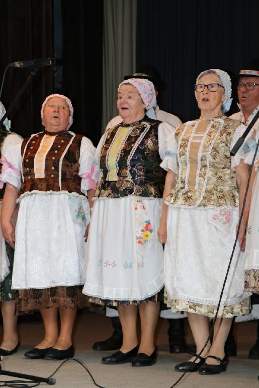 Vidiečanova Habovka 2025