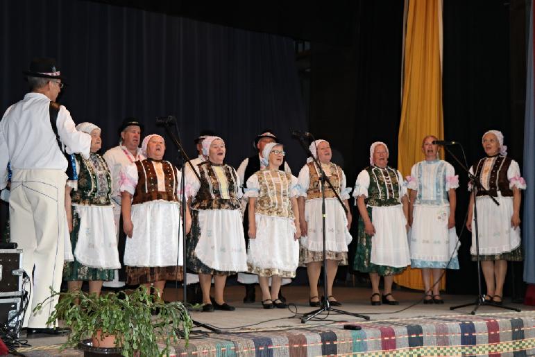 Vidiečanova Habovka 2025