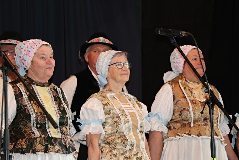 Vidiečanova Habovka 2025