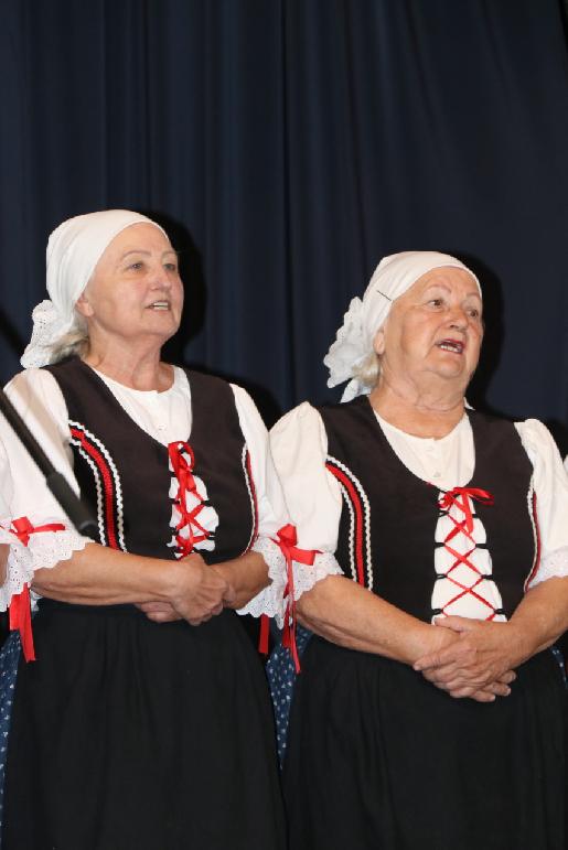 Vidiečanova Habovka 2025