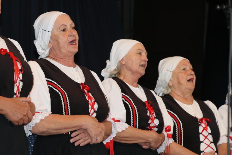 Vidiečanova Habovka 2025