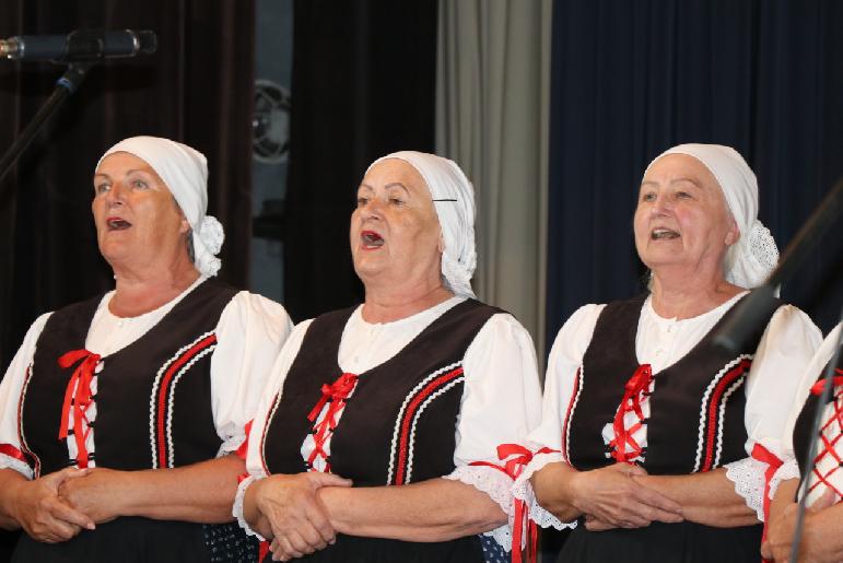 Vidiečanova Habovka 2025