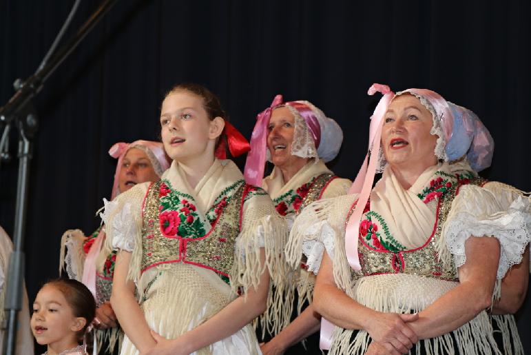 Vidiečanova Habovka 2025