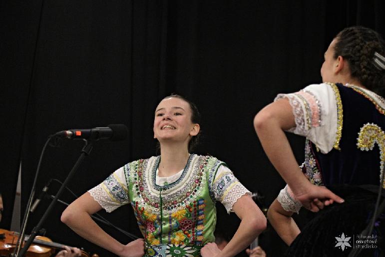 Vidiečanova Habovka 2026