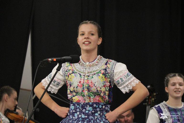 Vidiečanova Habovka 2026