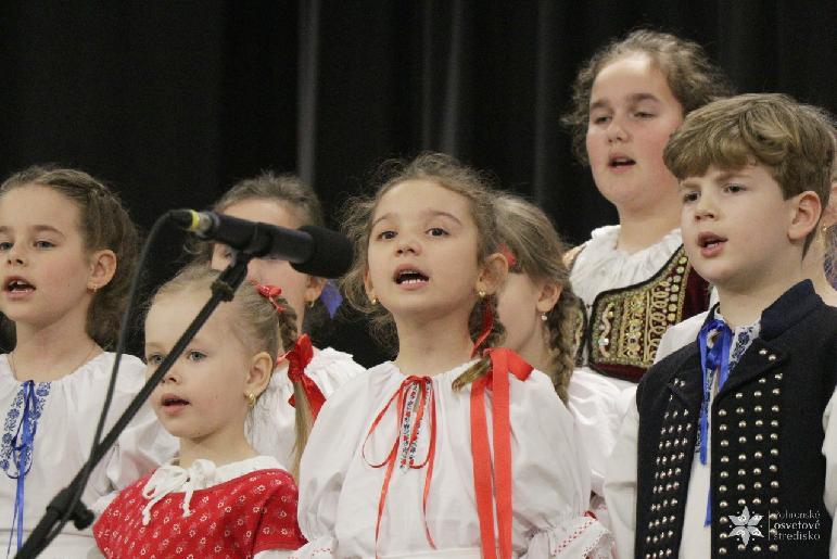 Vidiečanova Habovka 2026