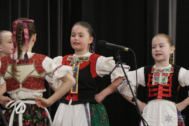 Vidiečanova Habovka 2026