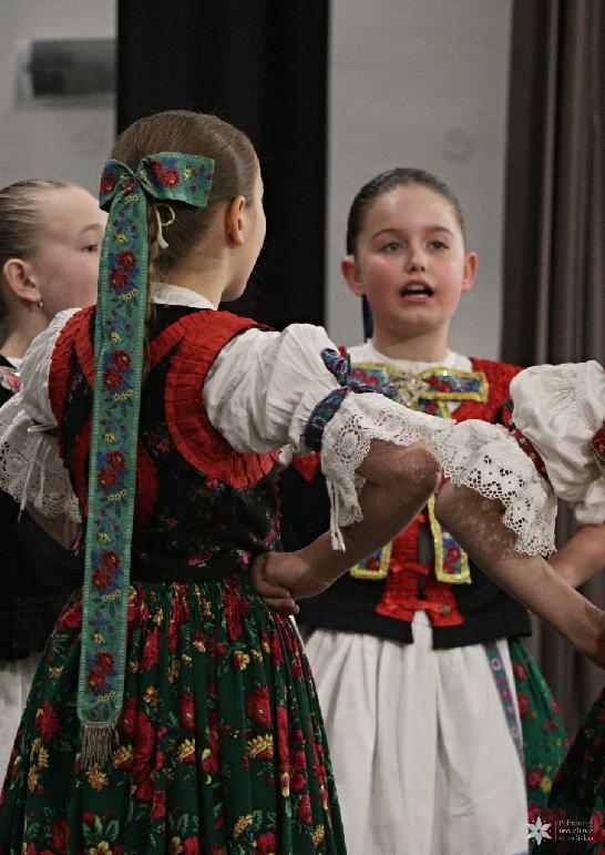 Vidiečanova Habovka 2026