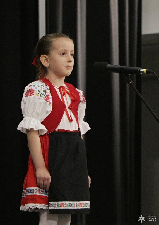 Vidiečanova Habovka 2026