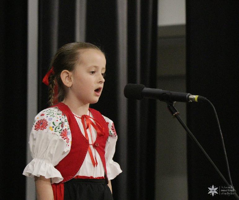 Vidiečanova Habovka 2026