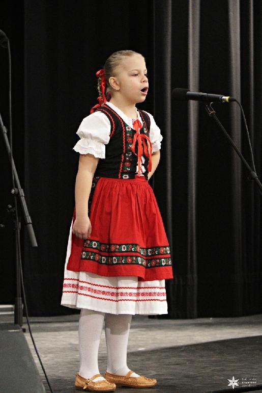 Vidiečanova Habovka 2026