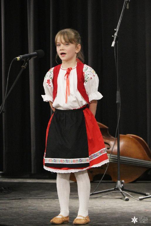 Vidiečanova Habovka 2026