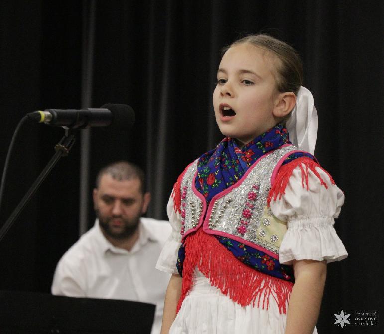 Vidiečanova Habovka 2026