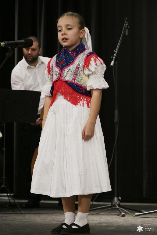 Vidiečanova Habovka 2026