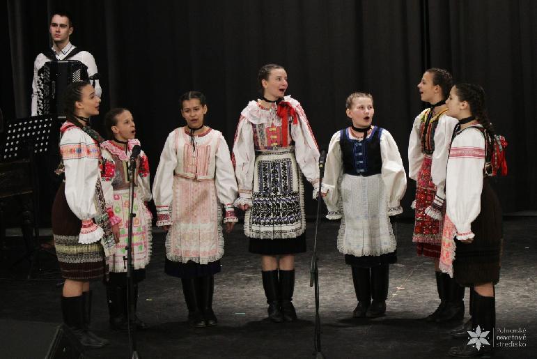 Vidiečanova Habovka 2026