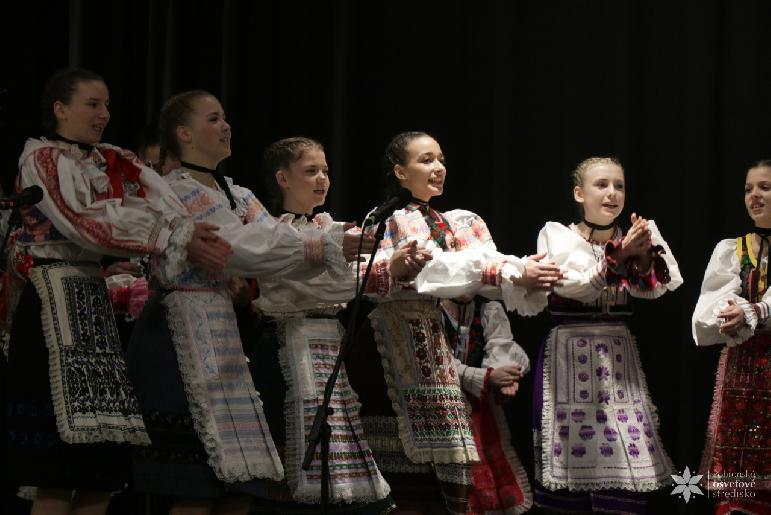 Vidiečanova Habovka 2026