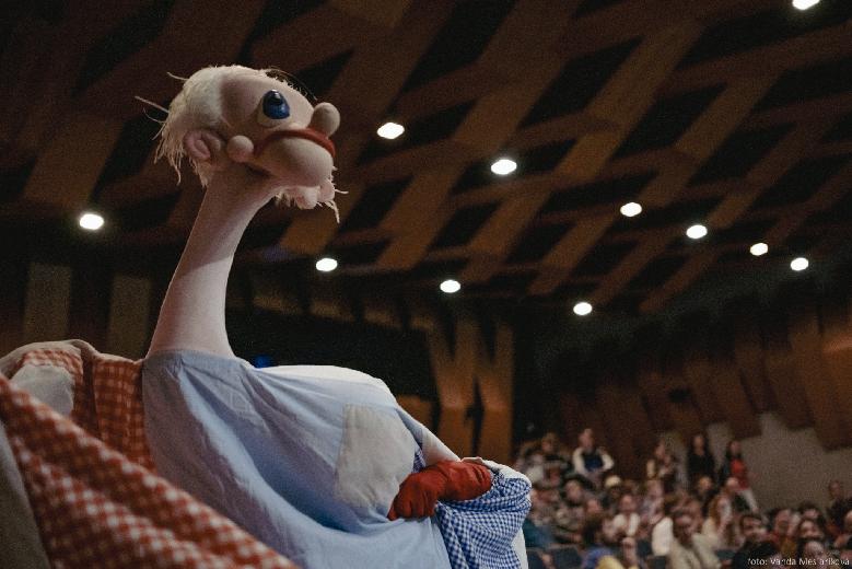 Cineama 34. ročník festivalu amatérskeho filmu 2026
